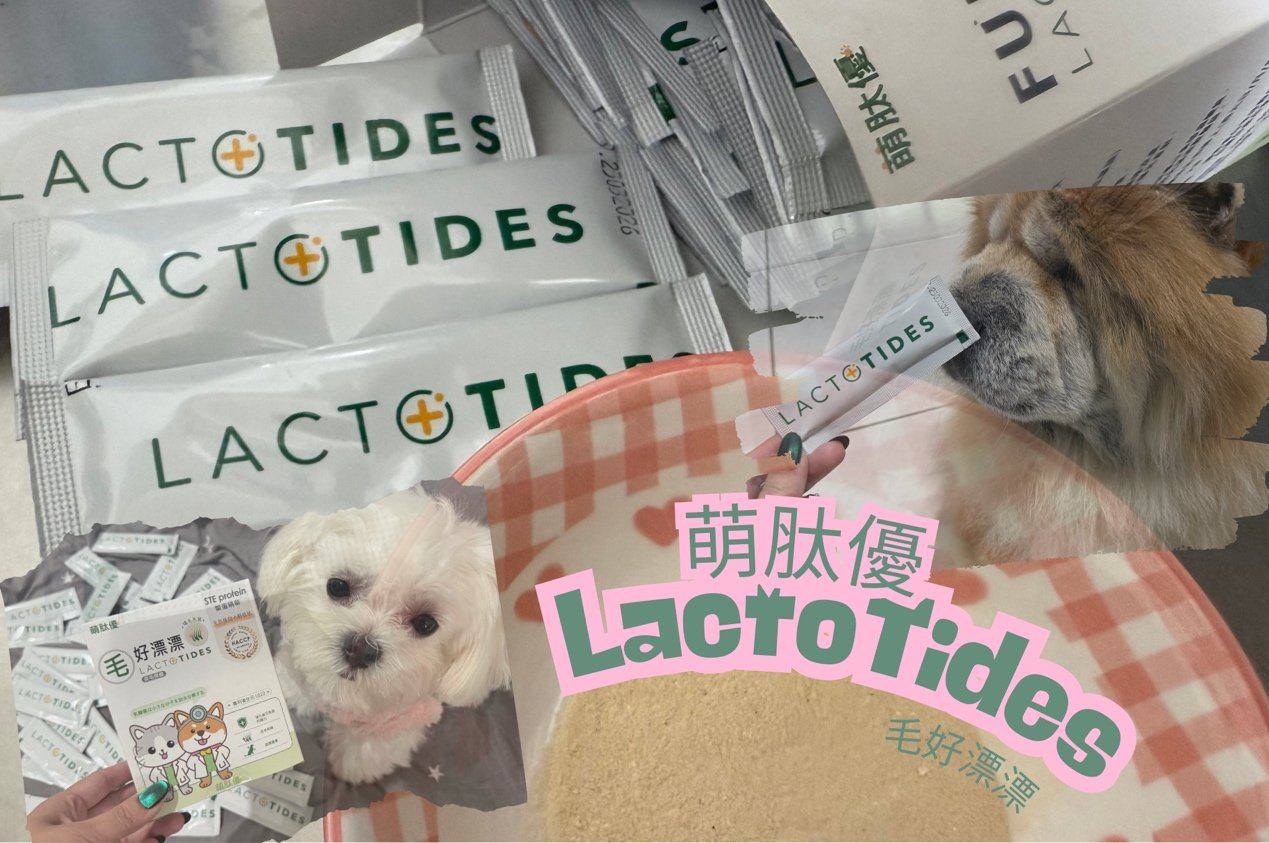 毛孩日常保養新清單📝 萌肽優 LactoTides 評價，貓狗皮膚與毛髮營養補給實測